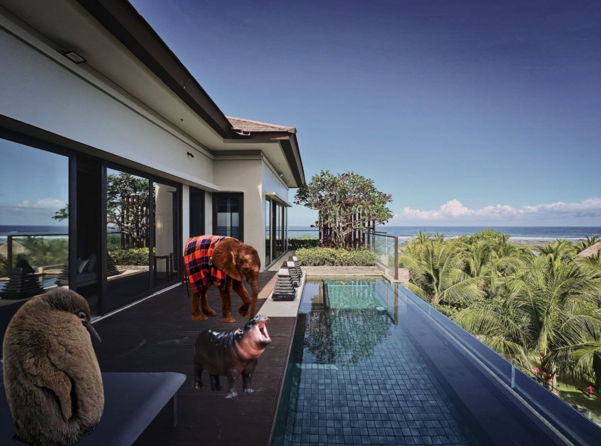 solana summer forever 💞
$toto $pesto $moodeng