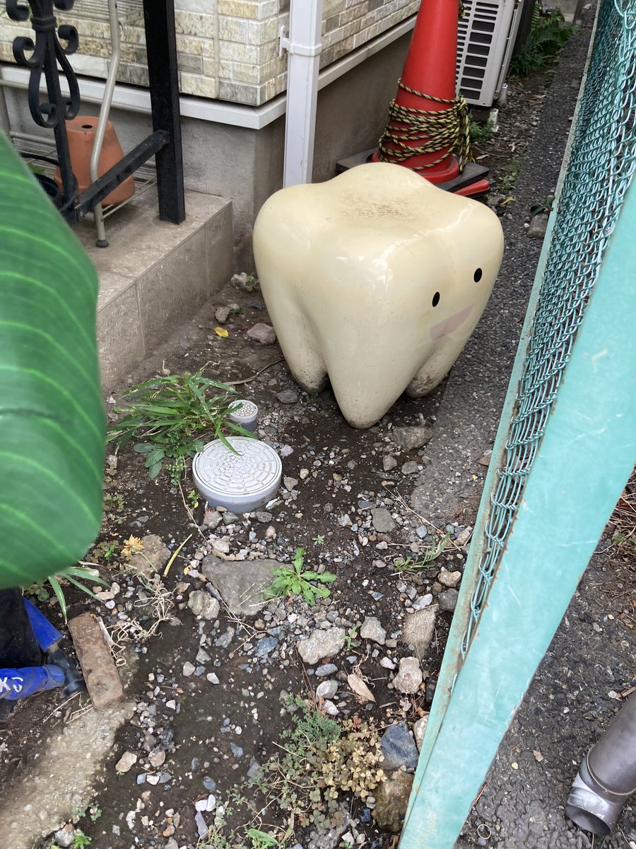 musou_orochi_'s tweet image. 歯の椅子いらんなら俺にくれよ