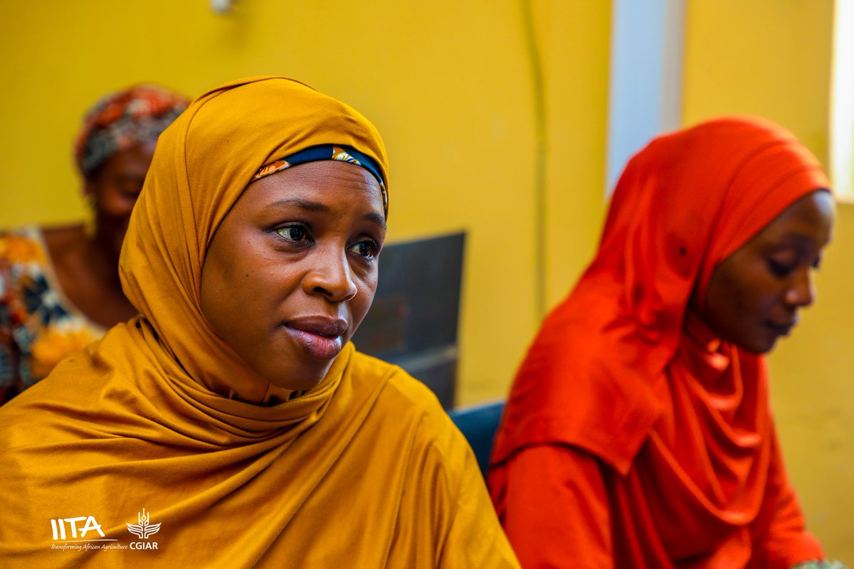 IITAYOUTHAGRIP's tweet photo. We are excited to launch the 2nd Edition of #IYouth STEP Agri-Teach in Kaduna State!
720 #teachers across 3 states will gain #agribusinessmanagementskills in #poultry and #fishery production, enabling them to #teach and inspire the next generation of #Agripreneurs.
#AgriTeach https://t.co/U4EMPbbeEW