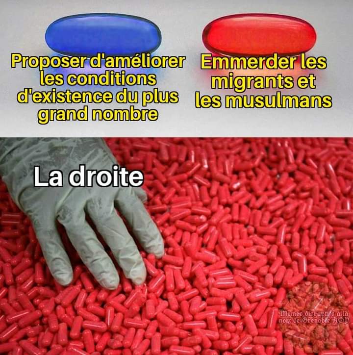 𝙒𝙤𝙡𝙛𝙚𝙣𝙨𝙩𝙚𝙞𝙣 𝙄𝙄𝙄 𝙑𝙄𝘽𝙀𝙎 tweet media