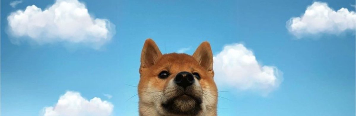 Crypto_Adamantt's tweet photo. @TrueGemHunter $OZARK

The dog is not famous 

2RUx72eNjTTDZaa5N6oBk88QUbP1npERG3ChosEApump https://t.co/zD4Myvje3M