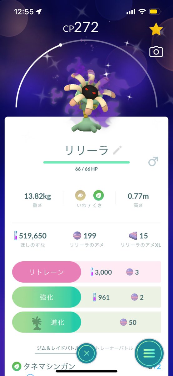 今日も色ザシアン出ず😭
本当に色違い居る、、？
明日また頑張ろう
リモートレイド誘ってくださった方々ありがとうございました🙇‍♂️
そしてなんで君が光ってるんだい？😂