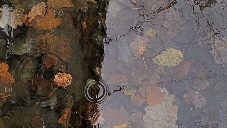 crunchy leaves and spooky stories