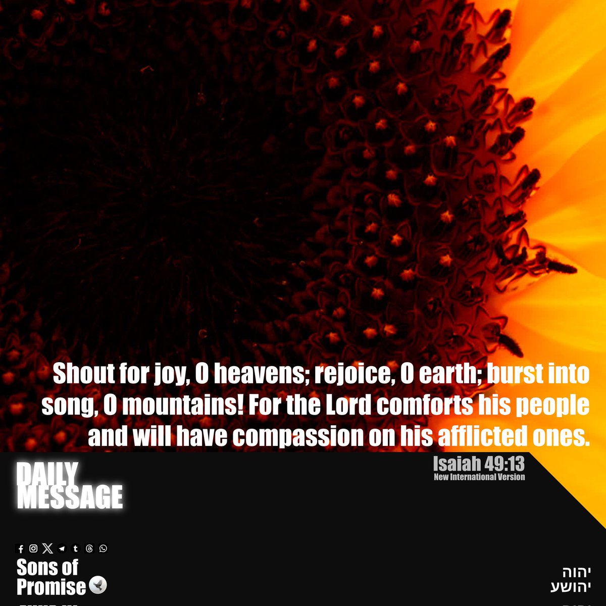 promiseFPUS's tweet photo. Isaiah 49:13

Shout for joy, O heavens; rejoice, O earth; burst into song, O mountains! For the Lord comforts his people and will have compassion on his afflicted ones.

#YAHUAH #YAHUSHA #Shalom #God #Jesus #Christ #HolySpirit #Gospel #SonsofPromise #Bible https://t.co/4GZBt5dg1e