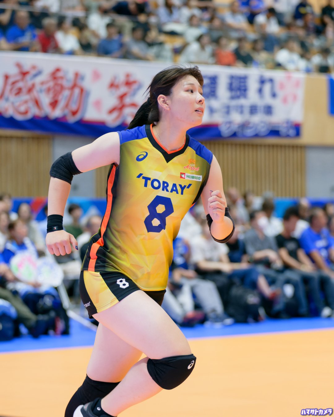 計10点セット】 東レアローズ滋賀 グッズ 小山愛実 他多数 女子バレー