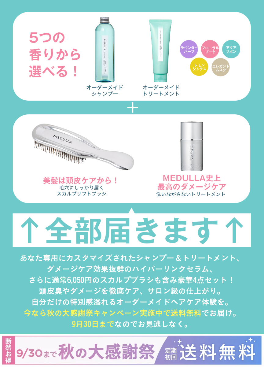 メデュラ 4点セット