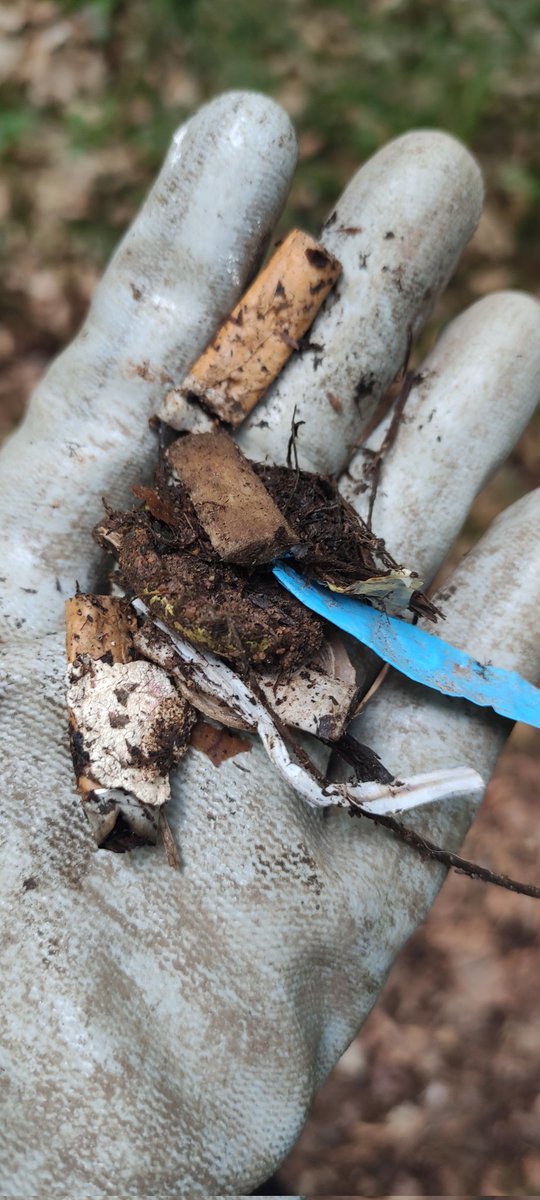 sowinsolose's tweet image. #CleanupChallenge @cleanify_vet