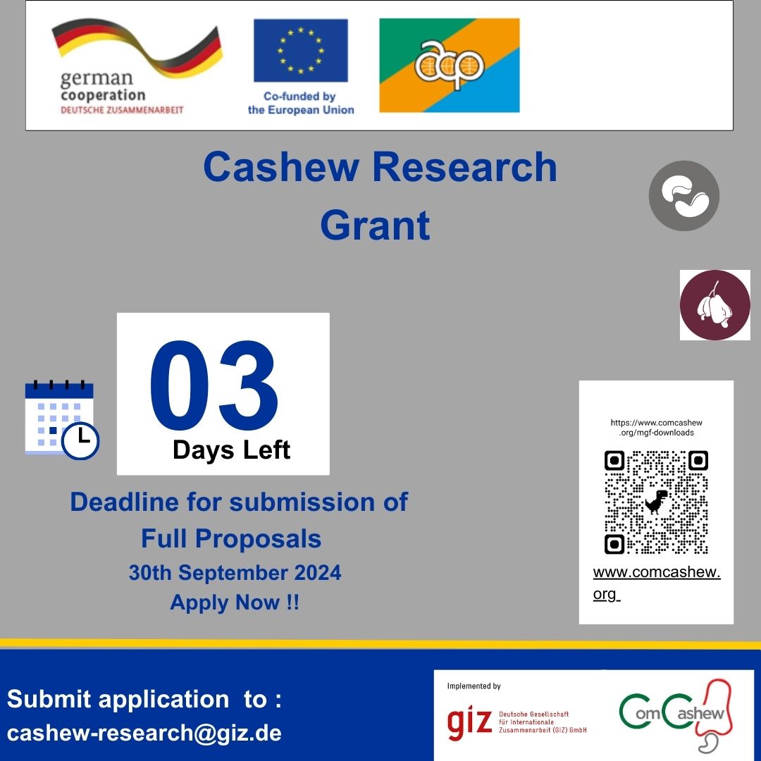 ComCashew tweet media