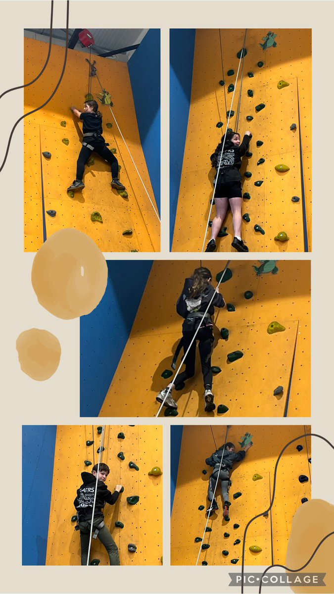 Year 6 TSP tweet media