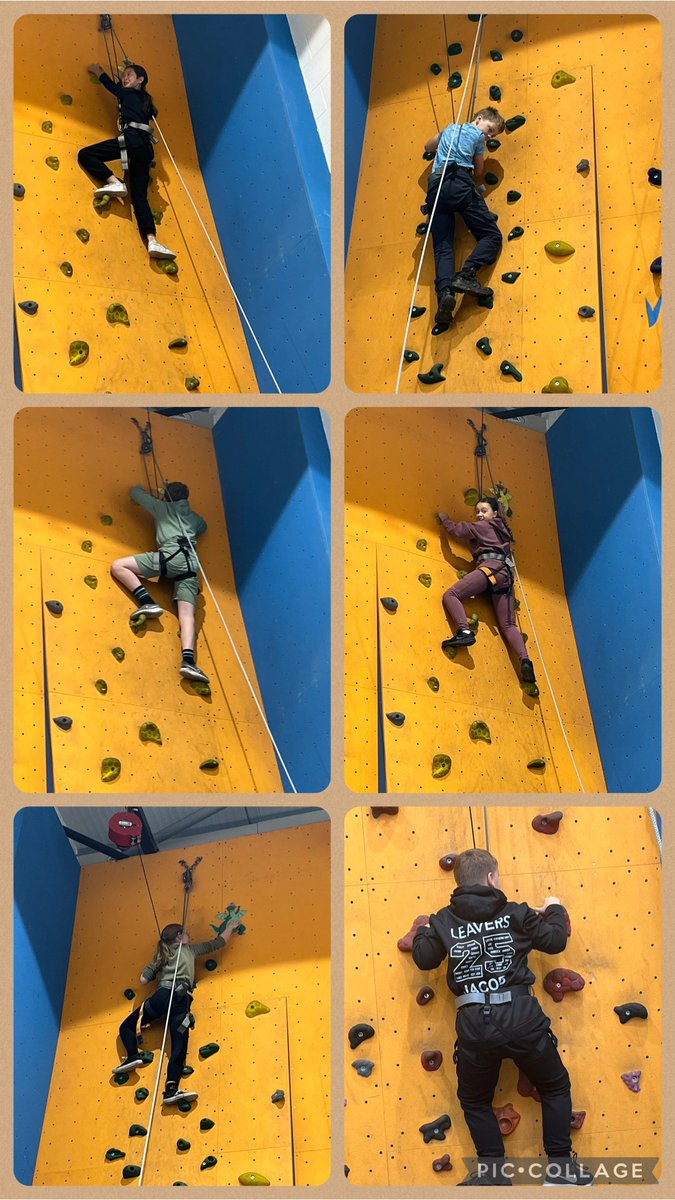 Year 6 TSP tweet media