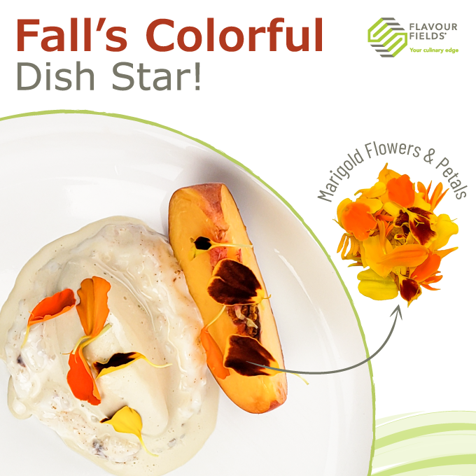 FlavourFields's tweet photo. Whole Marigold Flowers or loose petals, these Fall blooms are ready to shake things up in your kitchen! 🔥🌼

They bring bold color and a spicy kick that’ll wake your taste buds.

Visit: 
https://t.co/XW0PMdYh8Q
https://t.co/gb8lstmbNy

#marigold #flavourfields #edibleflowers https://t.co/nrLX5D48wG