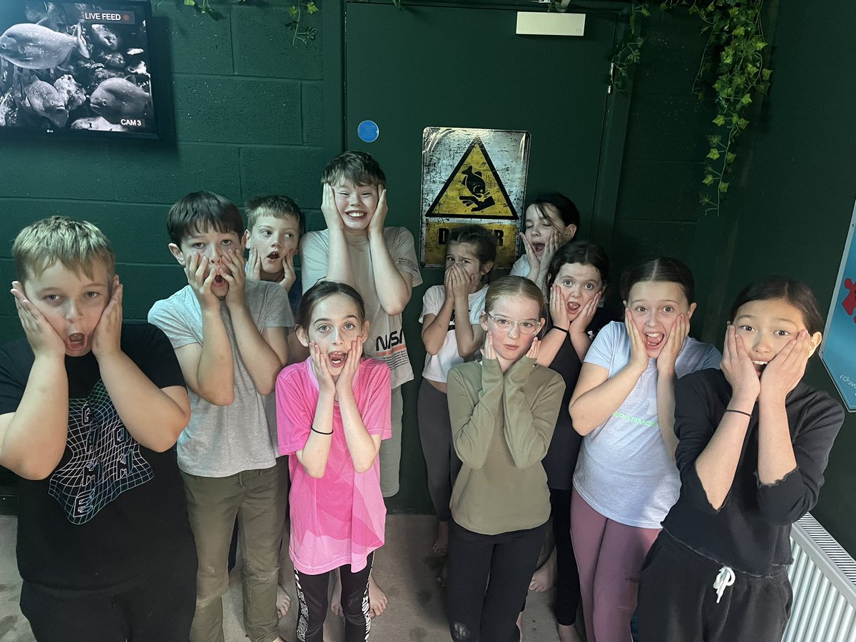 Year 6 TSP tweet media