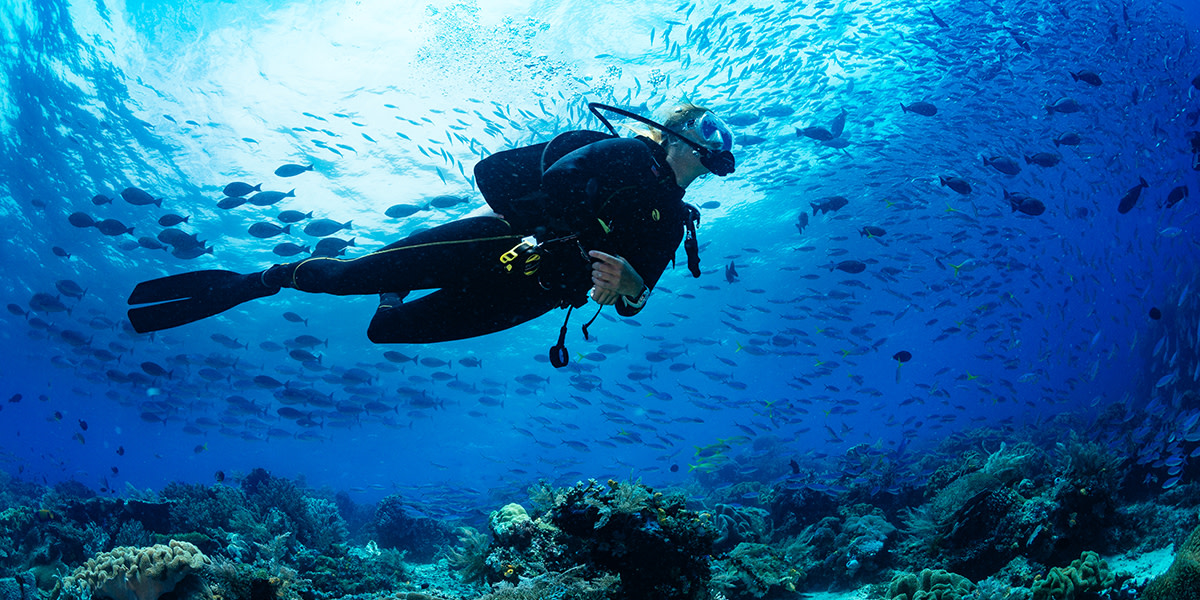 SpainInIsrael's tweet image. If you love scuba diving, then Northern Spain is the best destination for you! 💙

The #CíesIslands in #Galicia are an untamed paradise where you will find fascinating marine life, vegetation and flora... 🥰

👉 bit.ly/3NKYQaS

#VisitSpain #SpainSports @Turgalicia