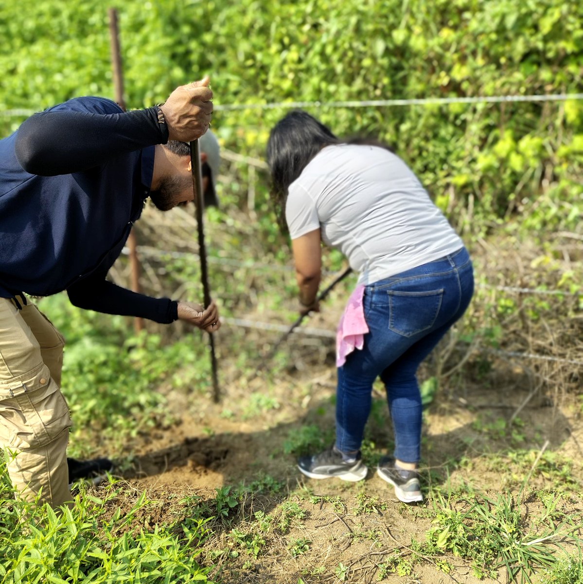 CSR_Persistent's tweet image. Growing a greener future! Our team planted 50 saplings at Abhyudaya Global Village School, supporting their agriculture-based education model. These trees will be nurtured by students, fostering sustainability and learning. 🌿💚 

#Sustainability #PersistentFoundation #CSR