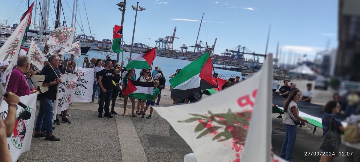 Cgtunisonovlc's tweet photo. EL #27S PARAMOS, por el fin del genocidio del pueblo palestino.
✊VIVA PALESTINA LIBRE ‼️
#PalestinaLibre 🇵🇸
#HuelgaGeneralPorPalestina
#ColgamosLosCascos
#Valencia https://t.co/QyE8ugjdTz