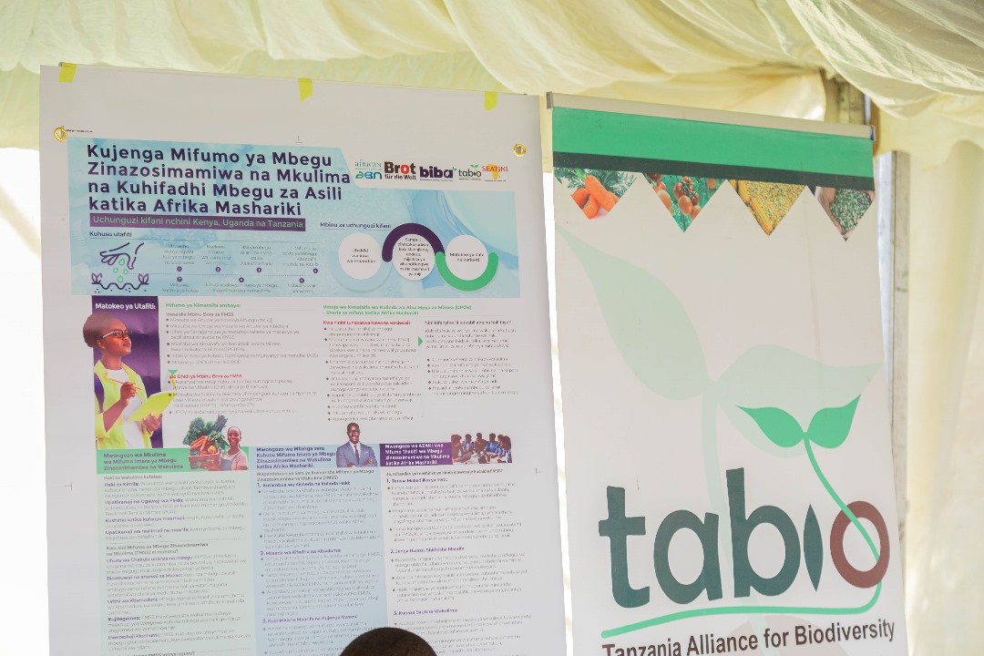 TABIOtz2011's tweet photo. "Excited to share that #TABIO participated in the Seed Fair & Indigenous Food event organized by @PELUM in Arusha! 🌱 A great platform for promoting seed sovereignty and celebrating our rich food heritage. #SeedFair #IndigenousFood #SustainableAgriculture
#FoodSovereignty" https://t.co/6I0sWQvGda