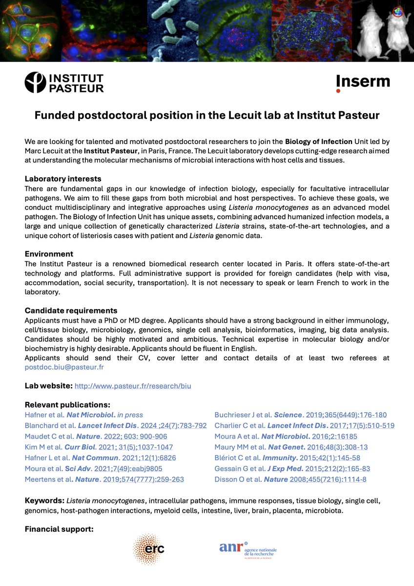 Lecuit Lab (@biupasteur) on Twitter photo 🚨 We are hiring 🚨 ⬇️
Funded postdoctoral position in the Lecuit lab at Institut Pasteur
research.pasteur.fr/en/job/funded-…
Contact us at postdoc.biu@pasteur.fr 🚨 We are hiring 🚨 ⬇️
Funded postdoctoral position in the Lecuit lab at Institut Pasteur
research.pasteur.fr/en/job/funded-…
Contact us at postdoc.biu@pasteur.fr