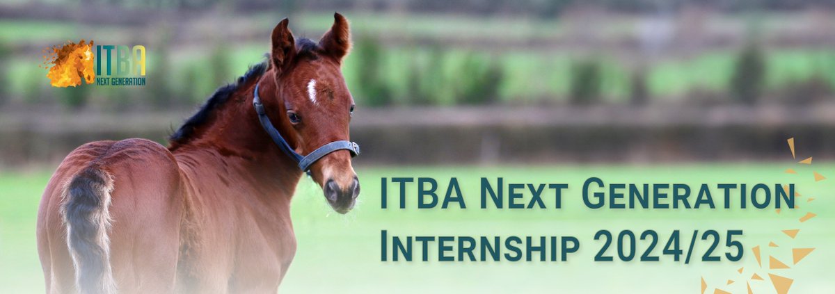 📢As the calendar for 2024/2025 gets underway, ITBA Next Generation is delighted to announce the 2024/2025 Interns; 𝐄𝐦𝐦𝐚 𝐃𝐢𝐥𝐥𝐨𝐧, 𝐄𝐦𝐦𝐚 𝐇𝐮𝐧𝐭𝐞𝐫, 𝐃𝐚𝐧𝐚 𝐉𝐨𝐧𝐞𝐬, &amp; 𝐂𝐢𝐚𝐫𝐚 𝐑𝐮𝐬𝐬𝐞𝐥𝐥.

👏We wish all of them the best as their internships get underway!