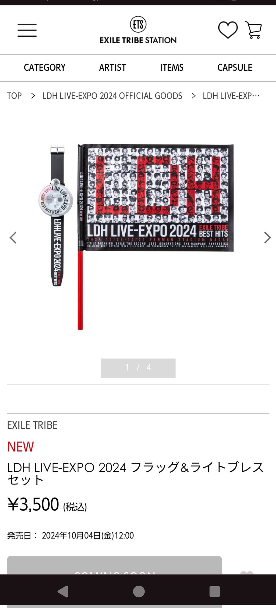 EXILE TRIBE - トラステ 福袋 2019 トラステ 福袋 2019