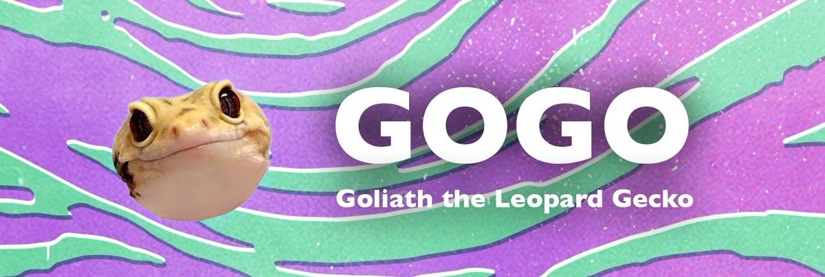 crypto_eldorado's tweet photo. $GOGO  OB 1Hour   530K MC

5Qyg1Q9DH9mv7CdFn2Qe1go2BFXe1MgVSvkEnf6Fpump
DYOR https://t.co/CAIjL6YVjz