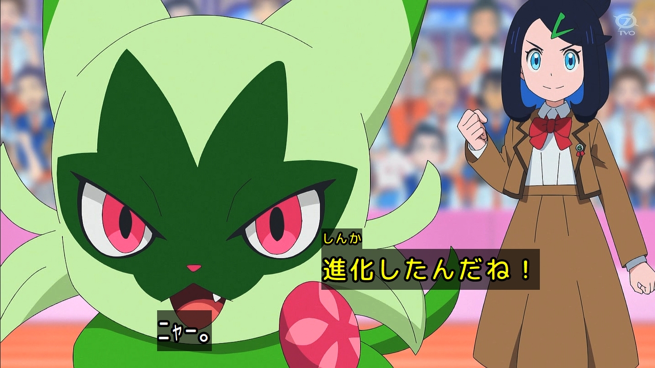 カピバラ×アルパカ＝アルバラ8🦙🦙🦙🦙🦙🦙🦙🦙 on X: 