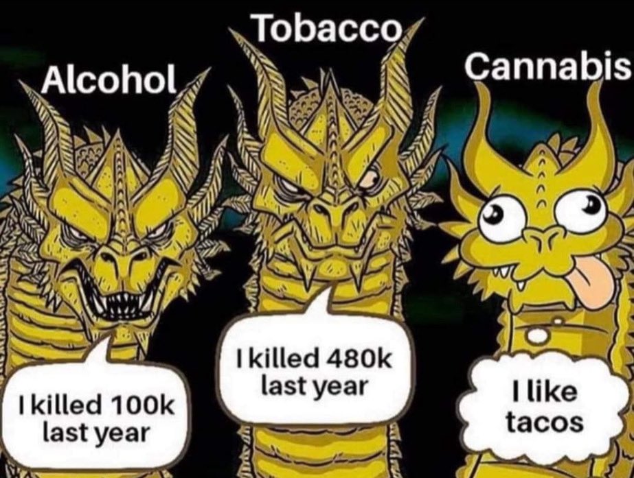 𝔸𝕟𝕘𝕖𝕝🪽 (@angelthehighest) on Twitter photo 