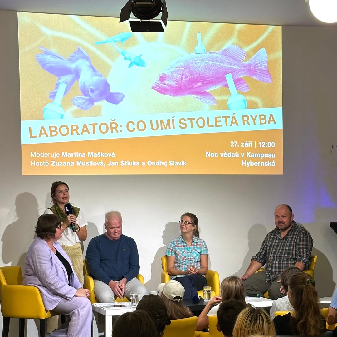 CRoPlus's tweet image. Jsme v @KHybernska a spolu se studenty tady v rámci @nocvedcuCZ natáčíme speciální, rybí, #Laboratoř. 🐠

Ve vysílání si ji budete moct poslechnout hned zítra po půl jedenácté, článek a audio najdete potom na našem webu a brzy i video na YouTube. 

@CRozhlas