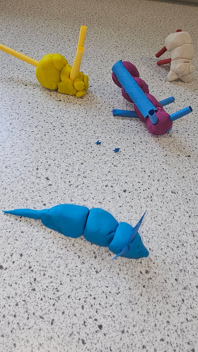 BiologyNinians's tweet photo. S4 biologists learning all about variation and inheritance through rebop models. Some fantastic creativity on show! 🧬🧬👨‍👩‍👧‍👧

@stninianshs 
@DavidKillin https://t.co/XBO5o1Hvsp