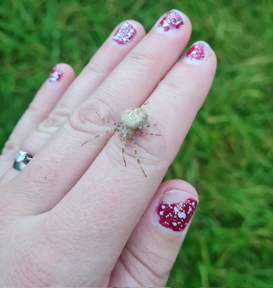 Georgia French 🐀 tweet media