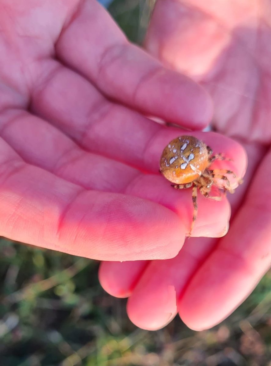 Georgia French 🐀 tweet media