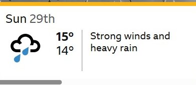 Tidelines tweet media