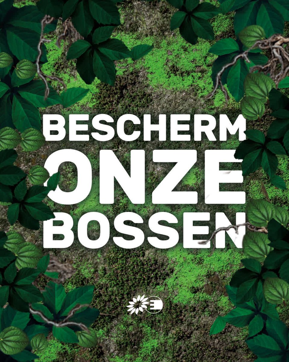 Het Europees Parlement en de EU-ministers willen ontbossing stoppen! 💪🌍 Maar nu dreigen tegenstanders deze wetgeving te vertragen. 😡  Help mee de bescherming van onze bossen te behouden! #GeenUitstel #BossenBeschermen 🌳 app.sosha.ai/s/QKjyISbz