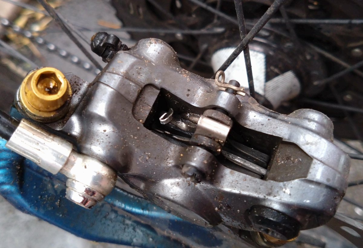 Will Columbine tweet media