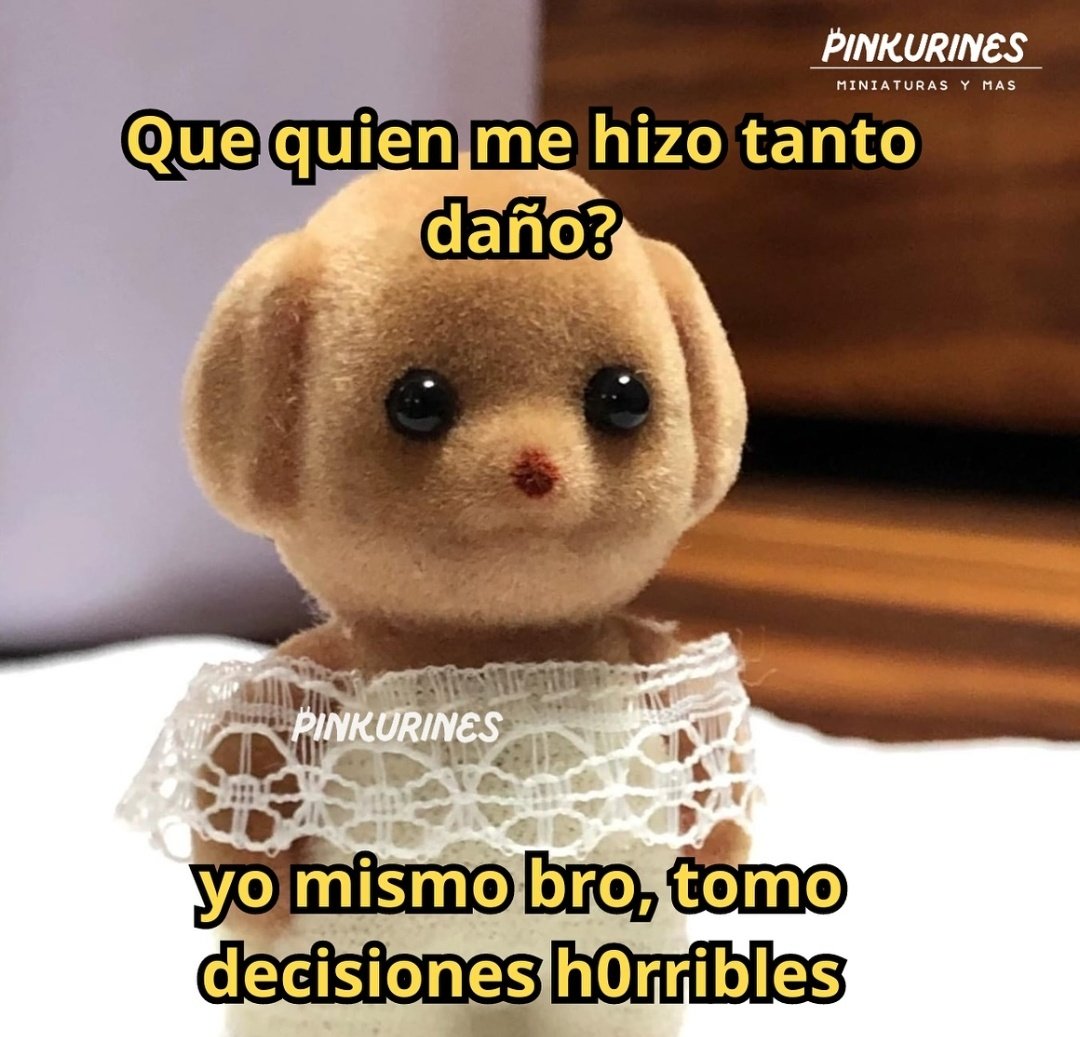 MiniAnimales's tweet photo. https://t.co/MfJZMtqA2X