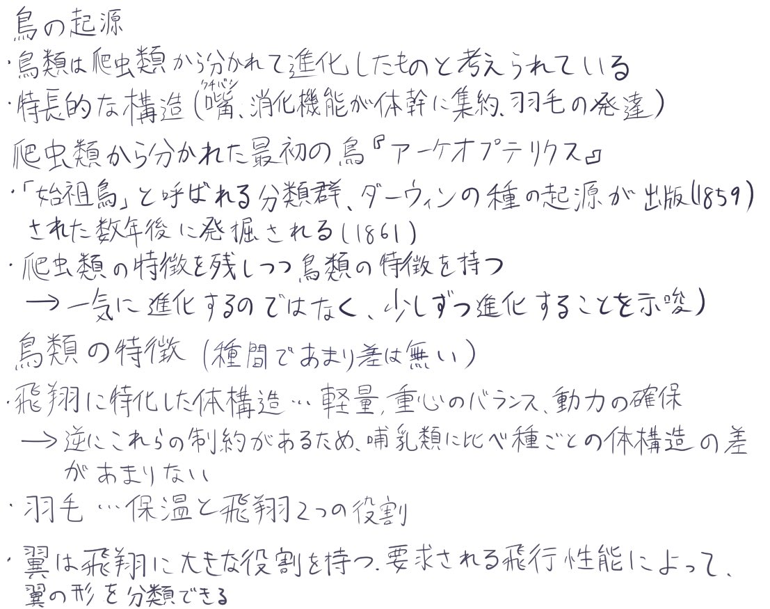 さんご tweet media
