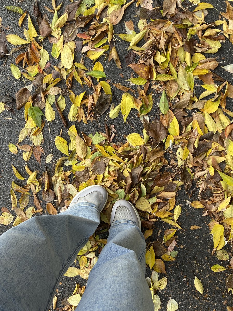 омайгааад
я что, смогла восстановить свой акк спустя год😳
мой шок в шоке и я вместе с ним