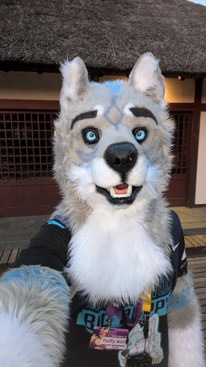 Fluffy Wolf tweet media