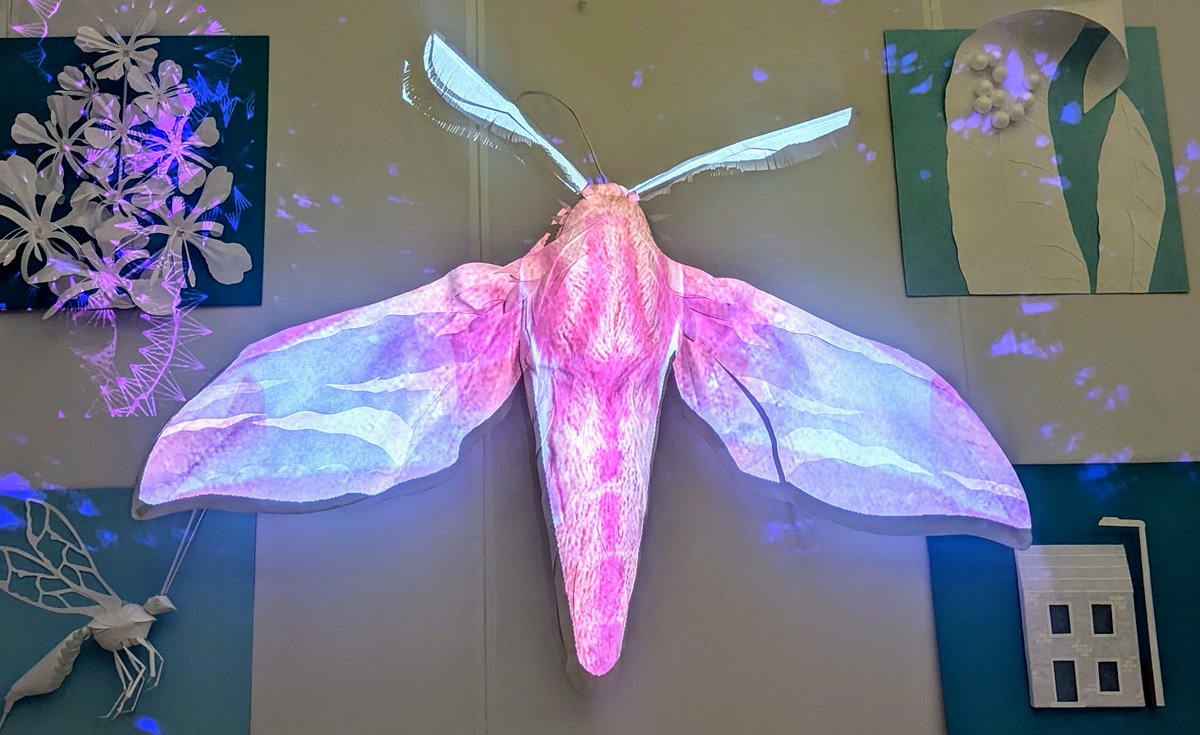 Stuart Campbell (@stuartacampbell) on Twitter photo Blown away by this amazing collaboration with artist <a href="/ZoeGendersArt/">ZoeGenders</a> and Dan Conway, highlighting some of our work on plant-insect interactions and insect diversity! Check out this massive elephant hawkmoth! Was a great experience with the <a href="/FestivalMind/">Festival of the Mind</a>! <a href="/ScienceShef/">Science at Sheffield</a> <a href="/PPS_UoS/">Plants, Photosynthesis and Soil</a> Blown away by this amazing collaboration with artist <a href="/ZoeGendersArt/">ZoeGenders</a> and Dan Conway, highlighting some of our work on plant-insect interactions and insect diversity! Check out this massive elephant hawkmoth! Was a great experience with the <a href="/FestivalMind/">Festival of the Mind</a>! <a href="/ScienceShef/">Science at Sheffield</a> <a href="/PPS_UoS/">Plants, Photosynthesis and Soil</a>