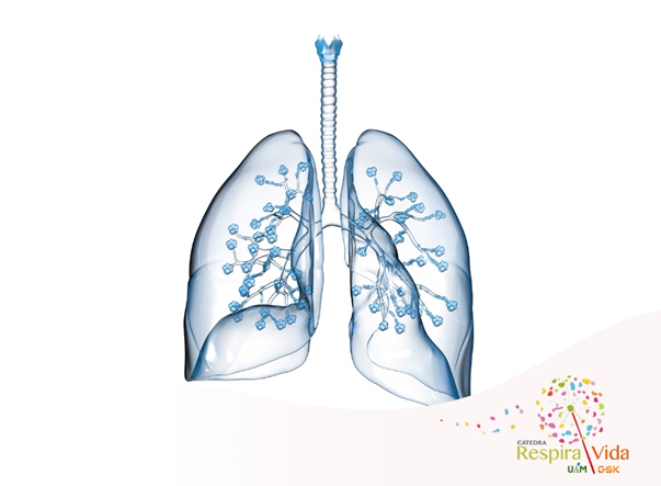 3 opciones para prevenir las enfermedades respiratorias son: evitar la exposición a los contaminantes del aire con buena ventilación; protegerse de las infecciones respiratorias con una correcta higiene de manos y frenar la exposición al humo del tabaco acortar.link/RV6GrJ