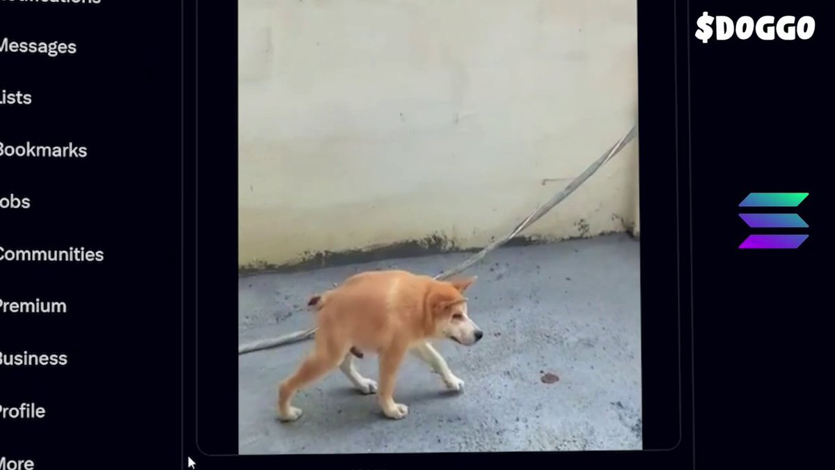 doggohbit's tweet photo. https://t.co/jkciYjqGhs