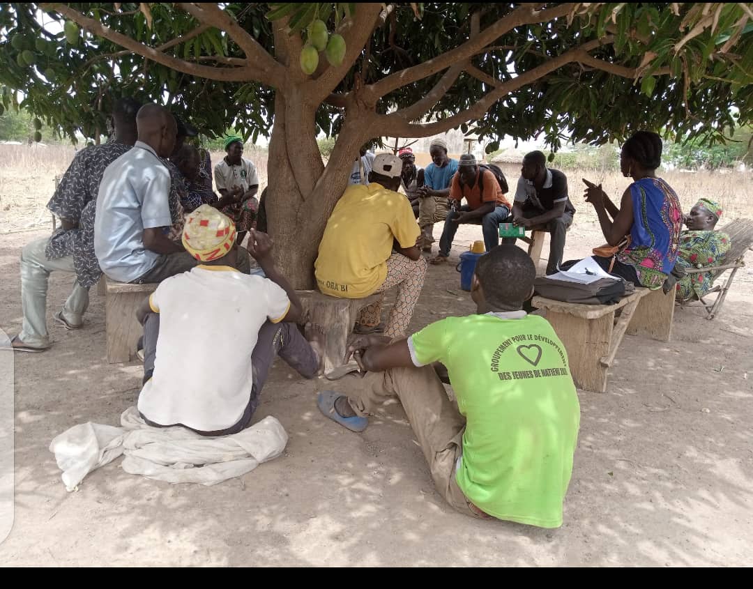 CEDIF ONG tweet media