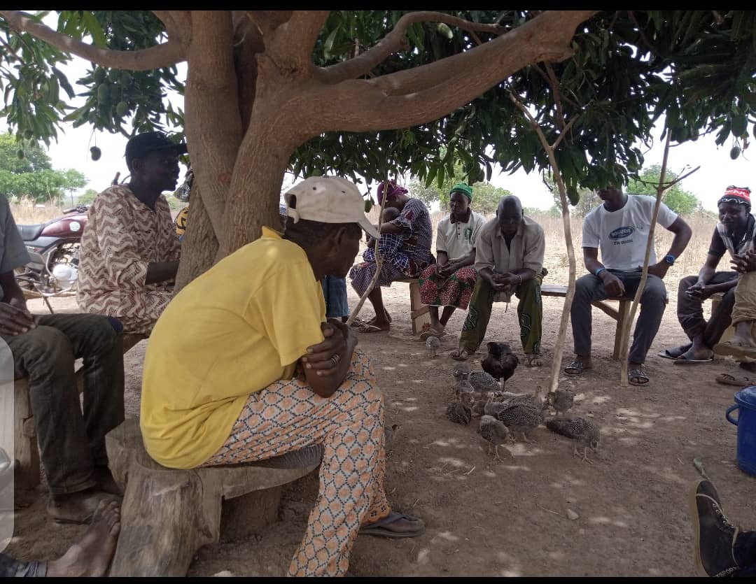 Projet RCPR/Smart Valley : Organisation des séances de masculinités positives. CEDIF à travers ces séances favorise progressivement un mouvement des hommes engagés à promouvoir l’autonomisation économique des femmes dans la commune de Boukombé.
#OIF
#autonomisationféminine