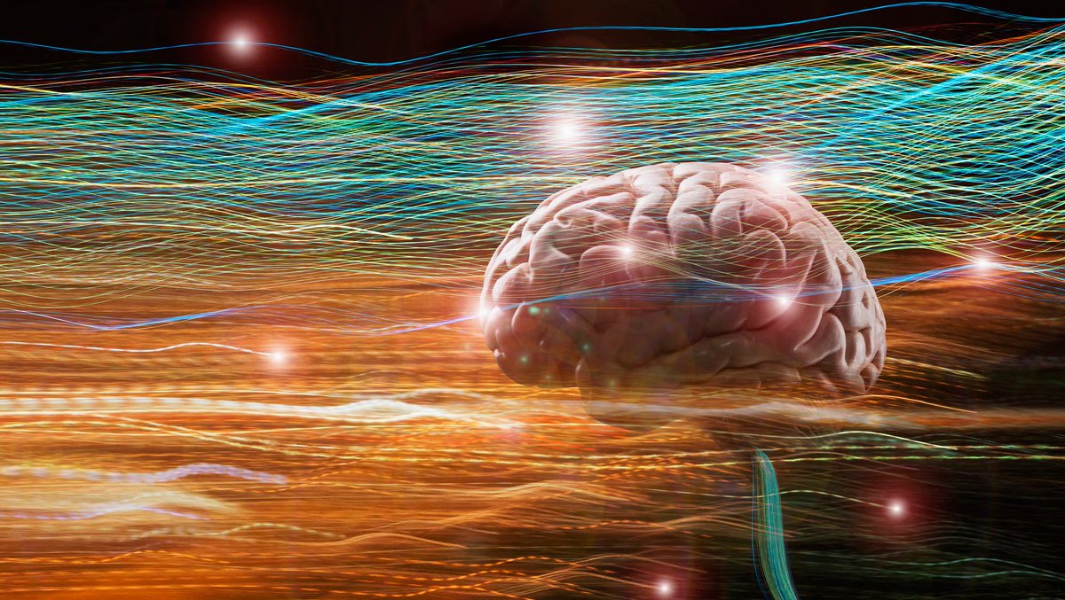 Your Consciousness Can Connect With the Whole Universe, Groundbreaking New Research Suggests | Popular Mechanics

This latest clue about the architecture of consciousness supports a Nobel-Prize winner’s theory about how quantum physics works in your brain.

A RECENT