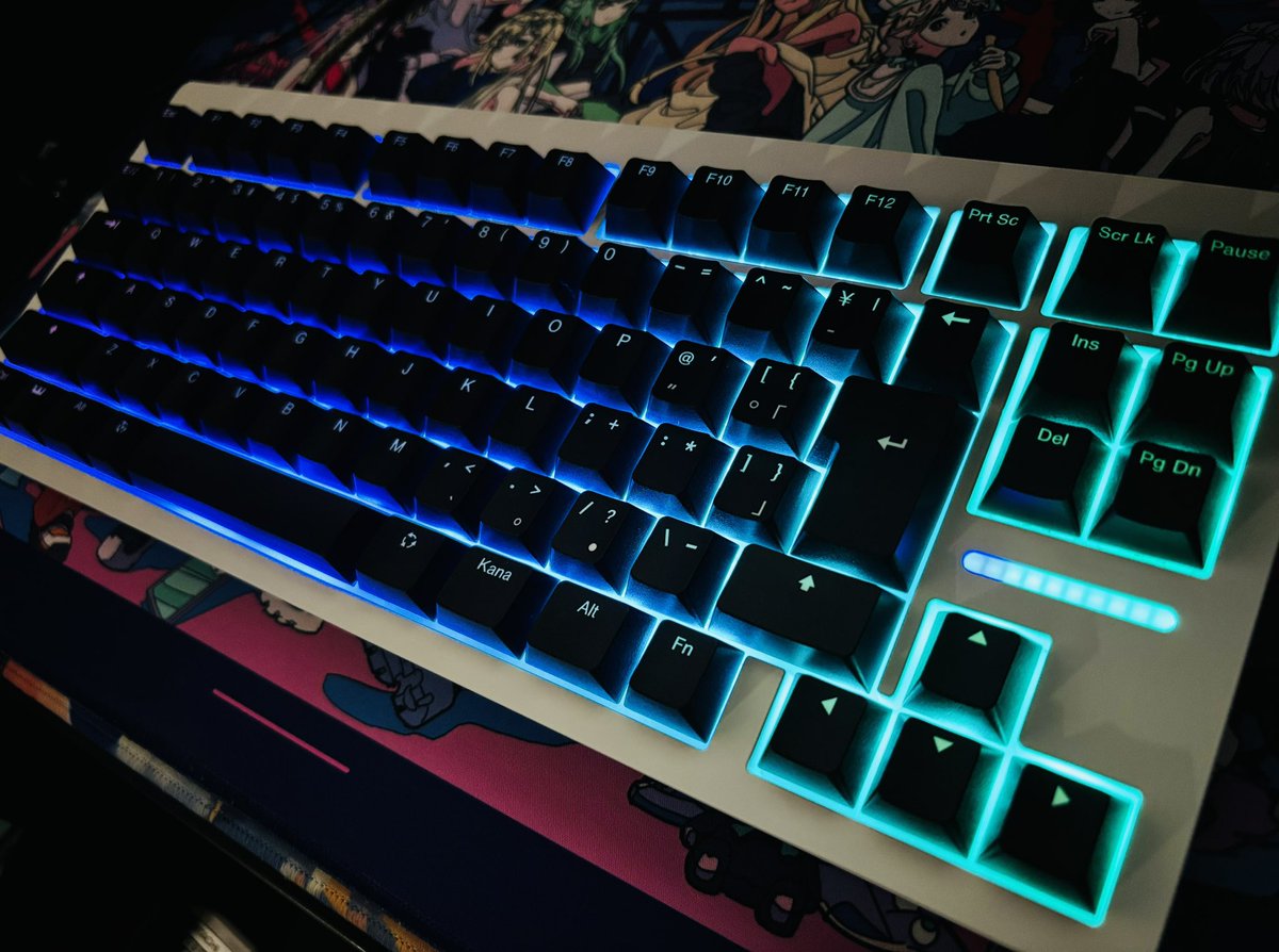 wooting80HE半年待ってさいきょう手に入れた。色合い高いのにしただけあるけどかなりカッコいい。
初ラピッドトリガーってやつ