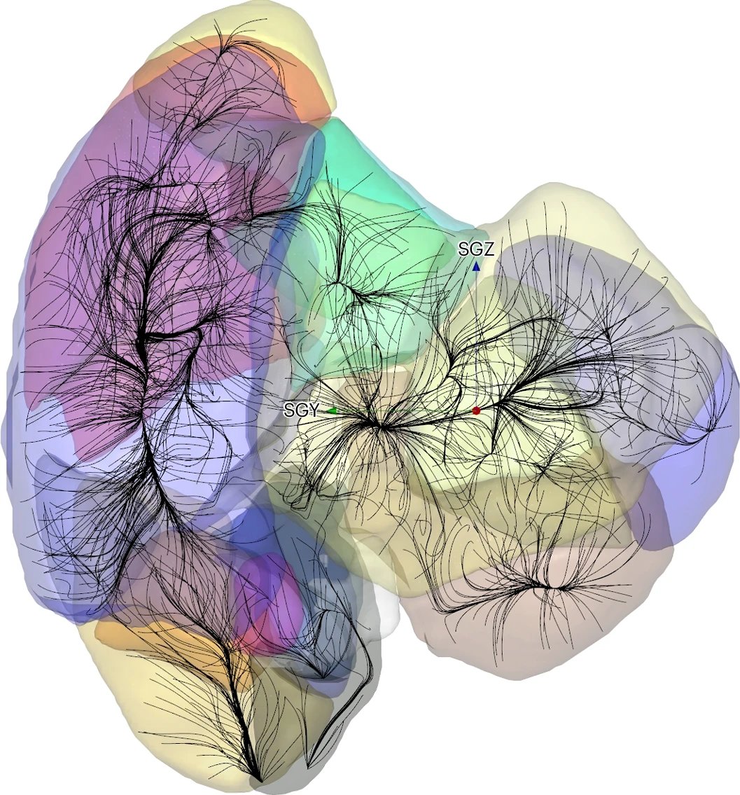 The landscape of the Universe can be discerned by the motion of galaxies toward mass concentrations and away from voids.  Here, Valade et al. segment space into 'basins of attraction', mapped with 56 thousand galaxy velocities. nature.com/articles/s4155… / rdcu.be/dVh3s