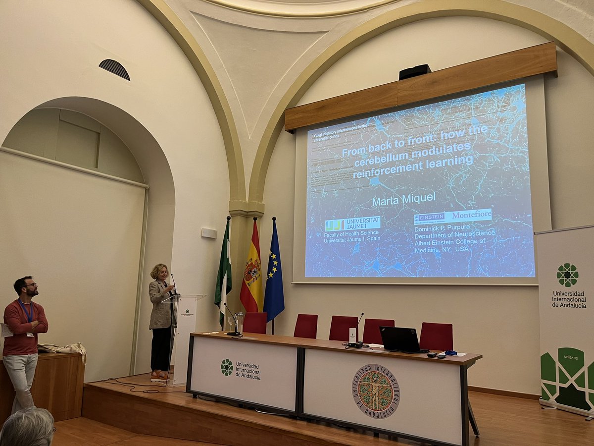 SEPC Jaén 2024 tweet media