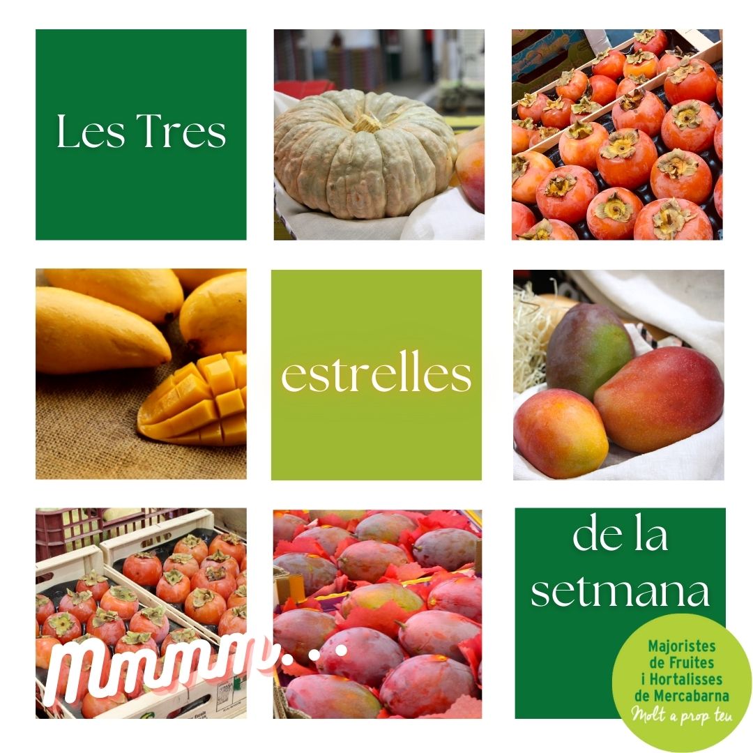 Agem_majoristes's tweet photo. ⭐Aquesta setmana per la nostra catifa vermella es passegen:
🥭 El mango de Màlaga.
#sabiesque som a plena campanya?
🍅El caqui tradicional, el tou, que ens arriba de València.
🎃La carabassa, icona de tardor.
😉Compartim idees per cuinar plats de ⭐⭐⭐estrelles?
#bondivendres https://t.co/ZajSdUG2Fr
