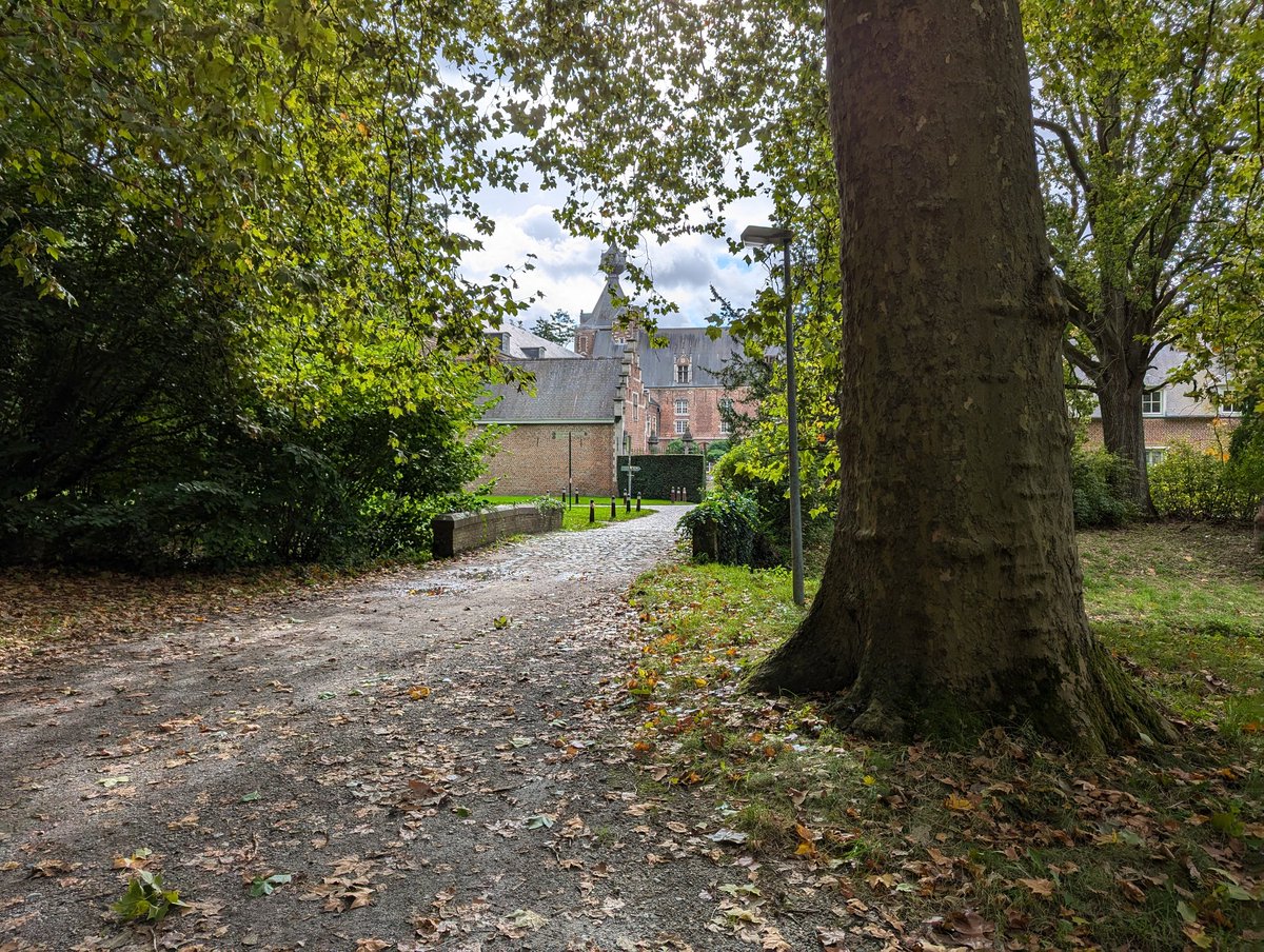 St_Hoppe's tweet photo. Ich bin eingeladen an die KU Löwen, wo meine Kollegin Krista De Jonge akademisch verabschiedet wird. Zum ersten Mal hatte ich Zeit, auch den Schlosspark Heverlee zu durchstreifen. https://t.co/9R9nulsmjy