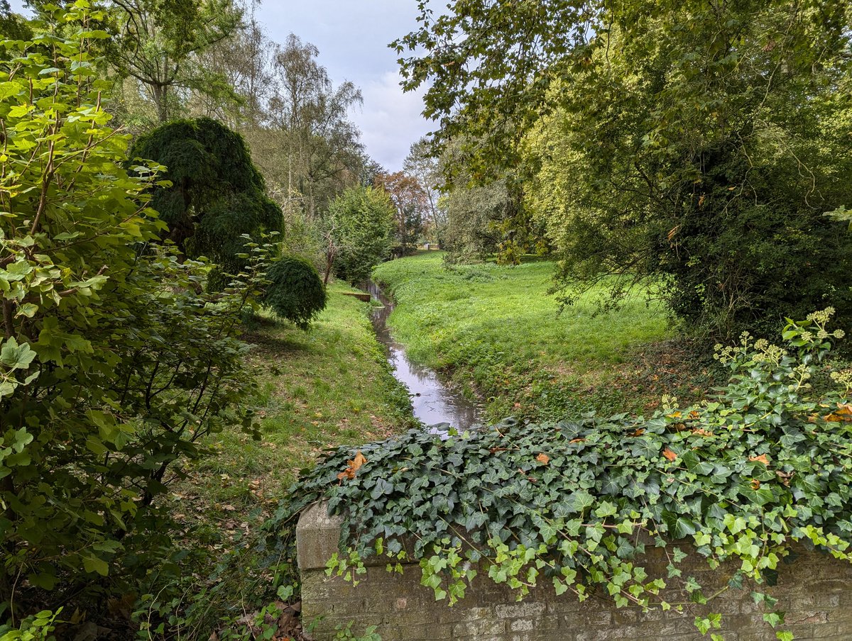 St_Hoppe's tweet photo. Ich bin eingeladen an die KU Löwen, wo meine Kollegin Krista De Jonge akademisch verabschiedet wird. Zum ersten Mal hatte ich Zeit, auch den Schlosspark Heverlee zu durchstreifen. https://t.co/9R9nulsmjy