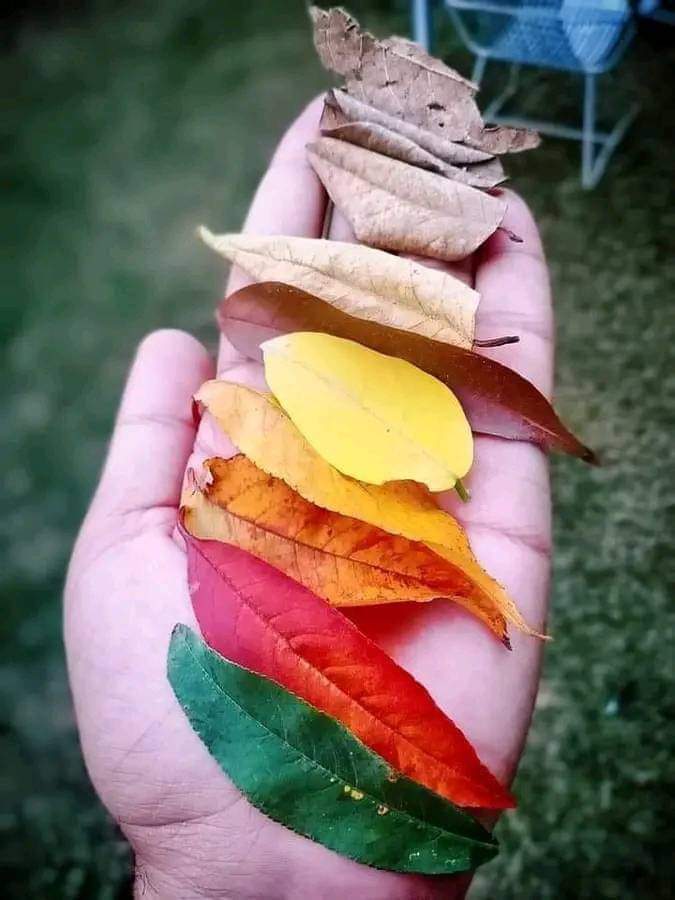 زندگی تیرے تعاقب میں ہم
اتنا چلتے ہیں کہ مر جاتے ہیں ۔۔!!